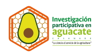 logo aguacate casanare